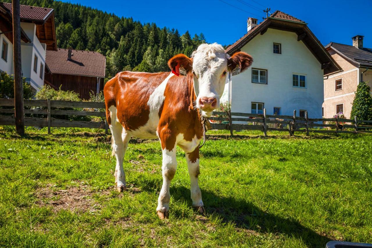 Grillhof-Gut Villa Mauterndorf  Exterior foto